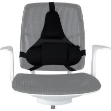 Ergonominė Nugaros Atrama - Fellowes Tinklelis, Reguliuojama, Juoda