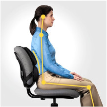 Ergonominė Nugaros Atrama - Fellowes Tinklelis, Reguliuojama, Juoda
