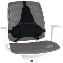Ergonominė Nugaros Atrama - Fellowes Tinklelis, Reguliuojama, Juoda
