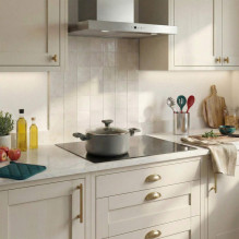 Salter BW14726 Alto 24 cm Stockpot