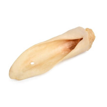 PETMEX White sheep ear Mono...