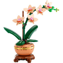 Augalų modelis - LEGO Botanicals 10343 Maža orchidėja, detalus orchidėjų modelis Augalų modelis - LEGO Botanicals 10343 Maža orchidėja, detalus orchidėjų modelis