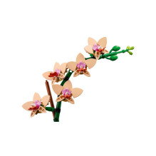 Augalų modelis - LEGO Botanicals 10343 Maža orchidėja, detalus orchidėjų modelis Augalų modelis - LEGO Botanicals 10343 Maža orchidėja, detalus orchidėjų modelis