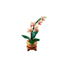 Augalų modelis - LEGO Botanicals 10343 Maža orchidėja, detalus orchidėjų modelis Augalų modelis - LEGO Botanicals 10343 Maža orchidėja, detalus orchidėjų modelis