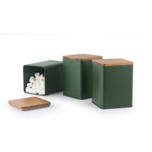 Salter BW12898G Toronto 3-Piece Canister Set, Green
