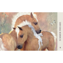 Kosmetinis defektas Horse Wisdom Oracle kortos Blue Angel Kosmetinis defektas Horse Wisdom Oracle kortos Blue Angel