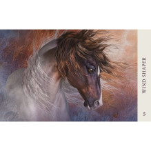 Kosmetinis defektas Horse Wisdom Oracle kortos Blue Angel Kosmetinis defektas Horse Wisdom Oracle kortos Blue Angel