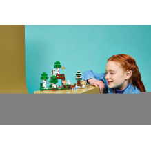 LEGO MINECRAFT 21593 First Night Adventure