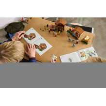 LEGO MINECRAFT 21596 Evoker Village Attack