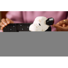LEGO IDEAS 21368 Peanuts: Snoopy's Doghouse LEGO IDEAS 21368 Peanuts: Snoopy's Doghouse