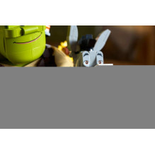 LEGO ICONS 72423 Shrek, Donkey and Puss in Boots
