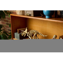 LEGO JURASSIC WORLD 77985 Dinosaur Fossils: Triceratops