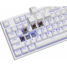 Genesis Thor 404 TKL Kailh Brown Box (US)