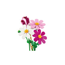 Konstravimo rinkinys - LEGO Botanicals 11514 Kosmoso Gėlės, 171 Dalys, Vidaus Eksponavimas, Daugiaspalvis