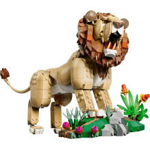 Konstruktorius - LEGO Creator 3 In 1 31386 Wild Animals 839 Pieces Majestic Lion Model Multicolor