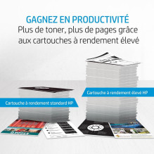 Toner - HP 125A Dual Pack (CB540AD, 2300 pages, black)