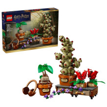 LEGO HARRY POTTER 76474 Hogwarts Herbology Plants LEGO HARRY POTTER 76474 Hogwarts Herbology Plants