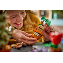 LEGO HARRY POTTER 76474 Hogwarts Herbology Plants LEGO HARRY POTTER 76474 Hogwarts Herbology Plants
