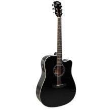 Speaker - Acoustic Guitar...