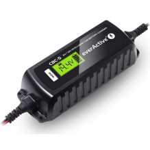 Intelligent Charger for car, motorcycle etc. batteries 6V and 12V, 3.8A max CBC-5