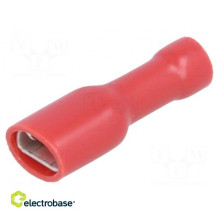 Terminal: flat 4.8mm 0.8mm...