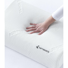 Anatomical pillow with...