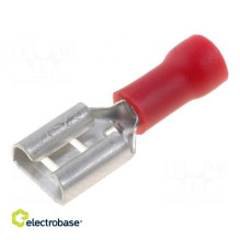 Terminal: flat, 6.3 mm, 0.8...