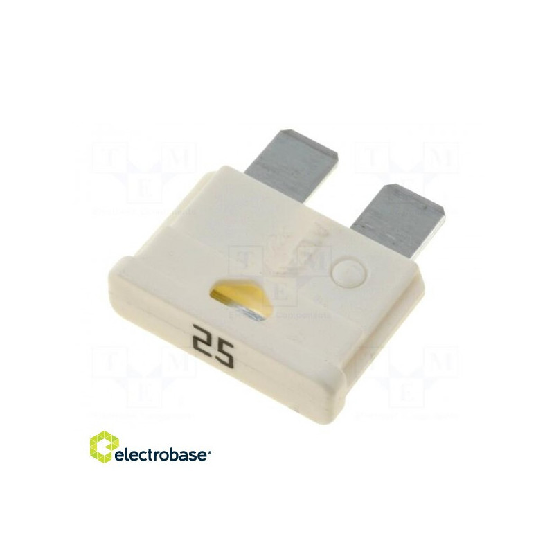 Fuse: fuse, 25A, 32V, automotive, 19 mm, UNIVAL