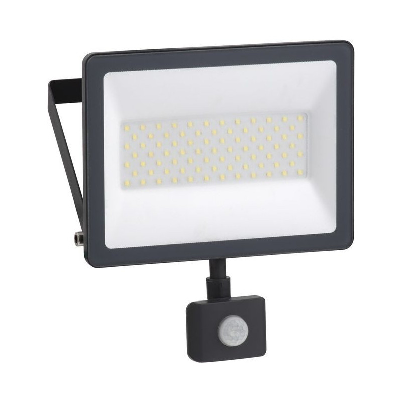 Schneider Electric Mureva floodlight 50W 4000K, IP65, Infrared motion sensor, 230V