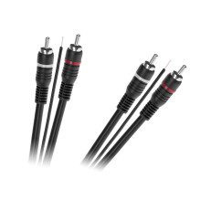 2 x RCA - 2 x RCA cable...