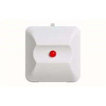 Sensor SensoMAG FRL 1