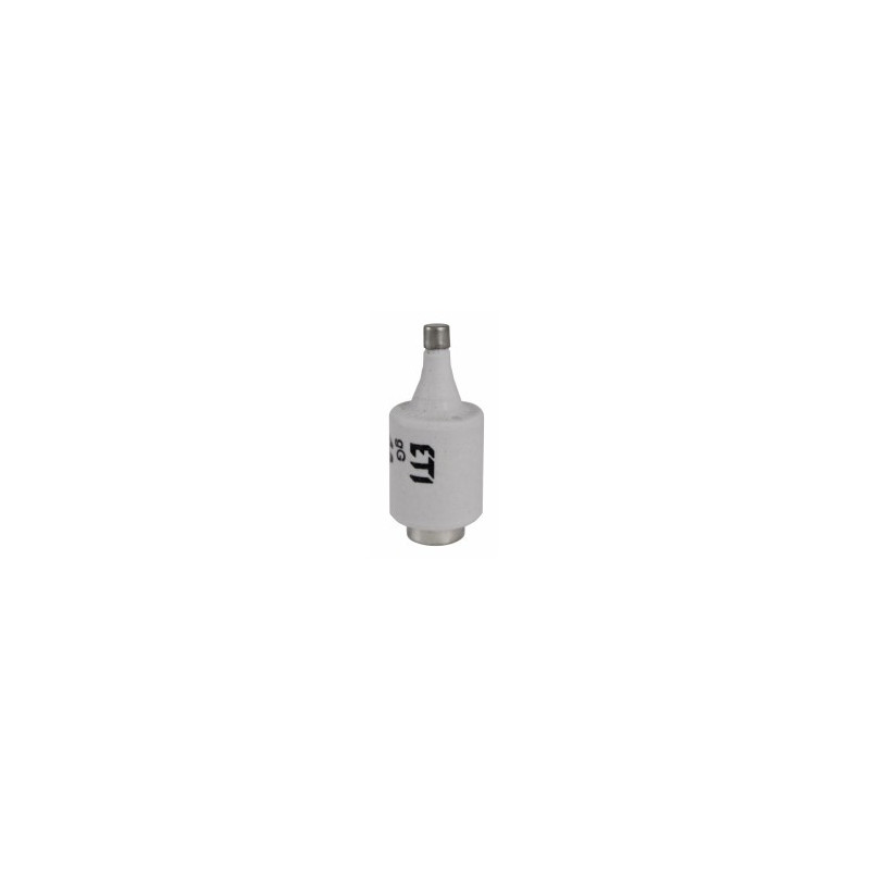 DII GG 6A 500V (BIWTZ) DII tipo saugiklis E27