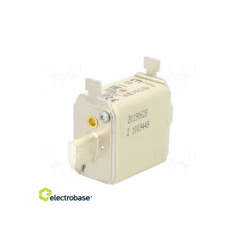 Fuse: fuse, gG, 125A, 500VAC, ceramic, industrial, NH00, WT-NH
