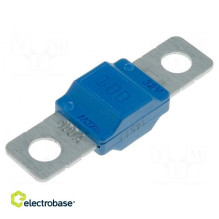 Fuse: fuse, 100A, 32V, automotive, 40 mm, MIDIVAL, Fastening: M5 screw