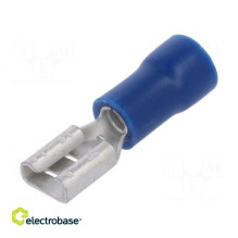 Terminal: flat, 4.8 mm, 0.8...