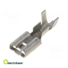 Terminal: flat, 4.8 mm, 0.5...