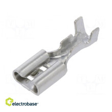 Terminal: flat, 4.8 mm, 0.5...