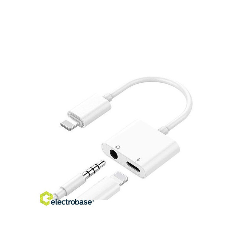 iPhone Lightning to 3.5 mm Headphone Jack Adapter (double)