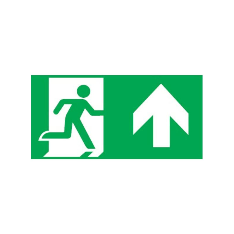Pictogram UP 30x15cm for ORION plane double-sided E10