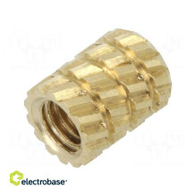 Threaded insert brass...