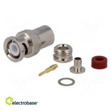 Plug, BNC, Male, straight,...