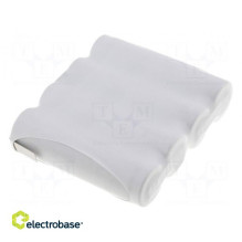 Battery: Ni-MH, AA, 4.8 V,...