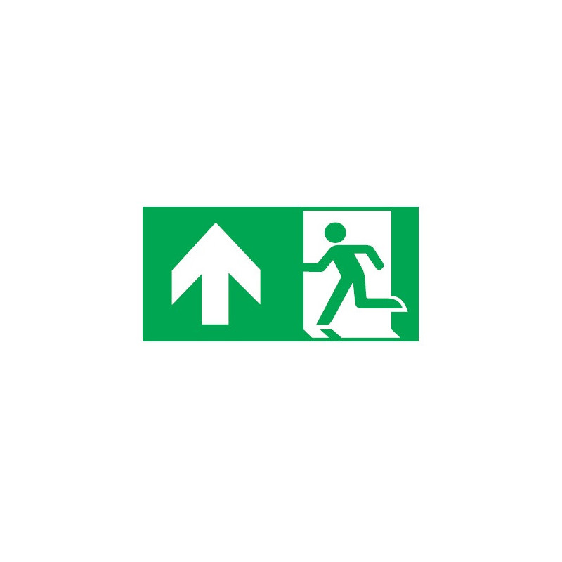 Pictogram 300x150mm up E11