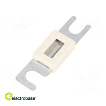 Saugiklis: 300A 48VDC...