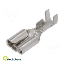 Type: flat 6.3mm 0.8mm...