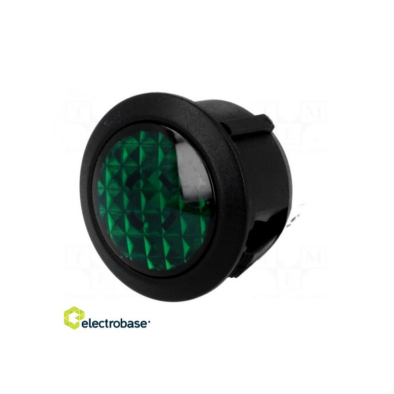 Indicator: LED, prominent, green, 24VDC, Ø20mm, IP20, polyamide