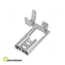 Terminal: flat, 6.3 mm, 0.8...