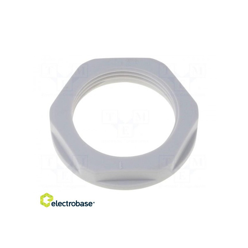 Nut PG11 polyamide 24mm gray -40÷100°C Thread: PG