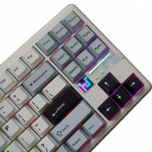 Aula F87Pro V2 EN Layout Gaming Mechanical keyboard Light blue + White + Black Purple