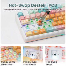 Aula F87Pro V2 EN Layout Gaming Mechanical keyboard Orange Juice